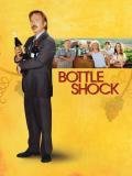 Learn about wine in Bottle Shock the movie