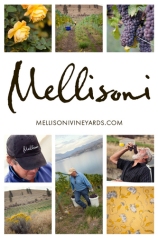 Mellisoni Vineyards photo collage